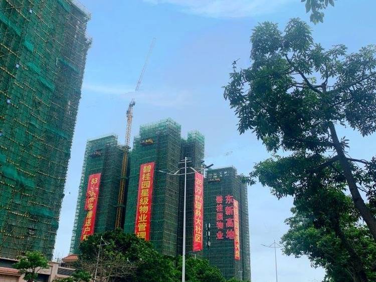 东新高地楼盘详情,东新高地房价,电话,户型图-湛江悦