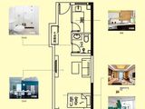 绿地国宝21城_1室1厅1卫 建面42平米