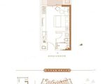 龙旺闽越水镇望江府_1室1厅1卫 建面32平米