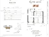 蓝光万顺雍锦和府_3室2厅2卫 建面108平米