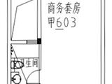 龙成国际_平层公寓甲03户型 建面50平米