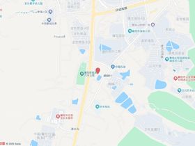 金楚智投宸园