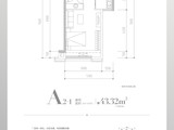 天府滨江中心_A2-1 建面43平米